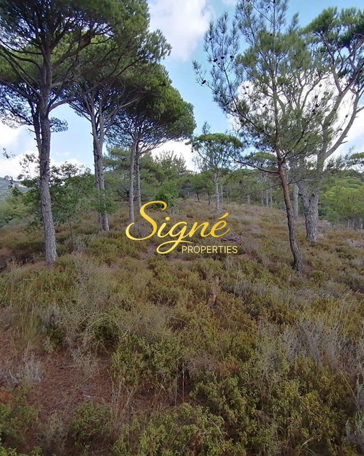 Land for Sale – Jezzine – SGMJ180
